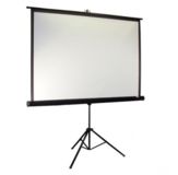Экран настенный Elite Screens 213,4Х213,4см M119XWS1