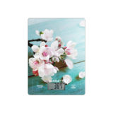 Весы кухонные Scarlett SC-KS57P20