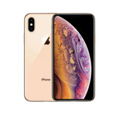  APPLE iPhone XS Max DS 256GB GOLD 12 