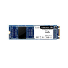  SSD M.2 256GB Team MP32 M.2 2280 PCIe 3.0 x2 TLC (TM8FP3256G0C101)