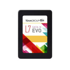  SSD SATA III 60Gb 2.5" Team L7 EVO TLC (T253L7060GTC101),  .   01/07/2021