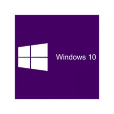 Windows 10 Professional 32-bit/64-bit Ukrainian USB P2 (HAV-00102)
