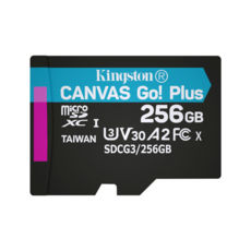  ' 256 GB microSDXC Kingston Canvas Go Plus Class 10 V30   (SDCG3/256GBSP)