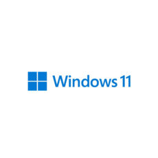 Microsoft Windows 11 Pro 64-Bit USB Flash Drive (HAV-00162)  