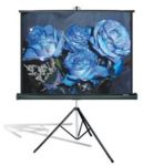 Экран мобильный с треногой Elite Screens 178x178см, 99" (T99NWS1)