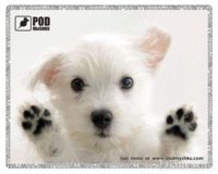 Килимок Podmyshku Лапи вгору, пластик