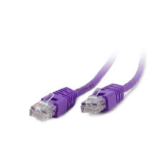 -  0,25  Cablexpert (PP12-0.25M/V) UTP,  5E, 50u"   , 