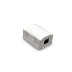  RJ45 8P8C 5e,  Cablexpert NCAC-1F5E-01  1 ,  