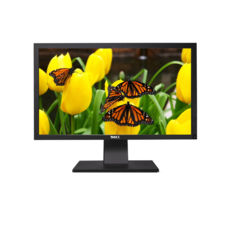  24" Dell  P2411H FullHD 1920 x 1080 TN WLED  16:9 VGA + DVI Black ..