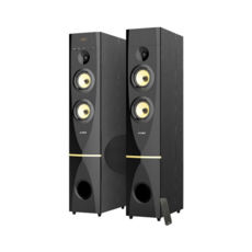   2.0 F&D T-88X (black) 2 x 150  USB/CARD (SD/MMC/MS) reader, FM, HDMI, AUX,  , USB
