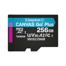  ' 256 GB microSDXC Kingston Canvas Go Plus Class 10 V30 (SDCG3/256GBSP)  