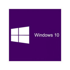 Windows 10 Professional 32-bit/64-bit RUSUSB P2 (HAV-00106)
