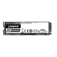  SSD M2 1Tb Kingston KC2500 NVMe PCIe Gen3x4 2280 (SKC2500M8/1000G)