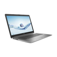  17" Hewlett Packard ProBook 470 2X7M1EA  /  / 17.3"/HD+ LED / Intel i5-10210U / 8Gb / 1 Tb HDD  / AMD Radeon R530, 2Gb / no ODD / no OS /  /  /