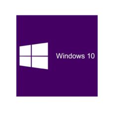 Microsoft Windows 11 Pro 64-Bit USB Flash Drive (HAV-00162)  