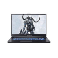  Dream Machines RG3050Ti-17 17.3FHD IPS, Intel i7-12700H, 32GB, F1TB, NVD3050Ti-4, DOS,  	RG3050TI-17UA39
