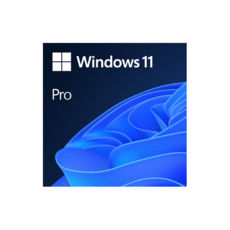 Microsoft Windows 11 Pro , FPP  USB   ( ) (HAV-00195)