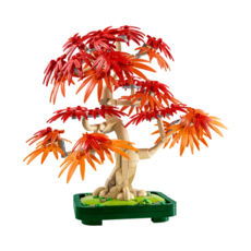 LEGO Icons Botanicals 10348 ������ � ��������� �����